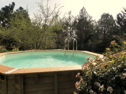 Nahaufnahme Pool mit bl&uuml;hendem Lorbeerbusch